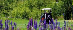 Golf cart GKG golf Iceland